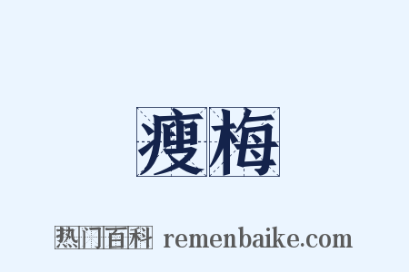 瘦梅是什么意思的图片